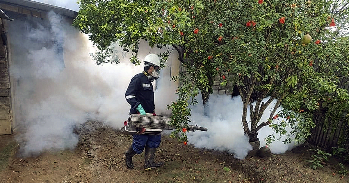 Dengue En Jun N El Otro Virus Que Debemos Erradicar Hytimes Pe