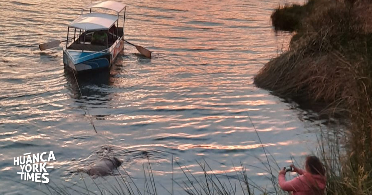 Jauja Hallan Cad Ver De Un Hombre Flotando En La Laguna De Paca