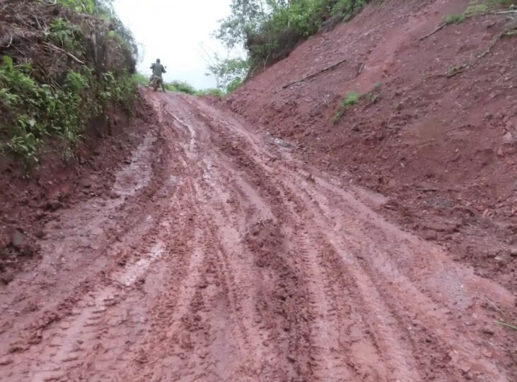 Pasco Denuncian construcción ilegal de carreteras en el Bosque de