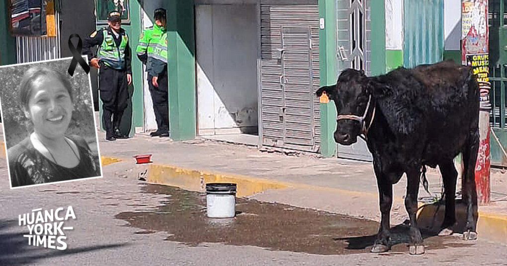 las vacas matan perros