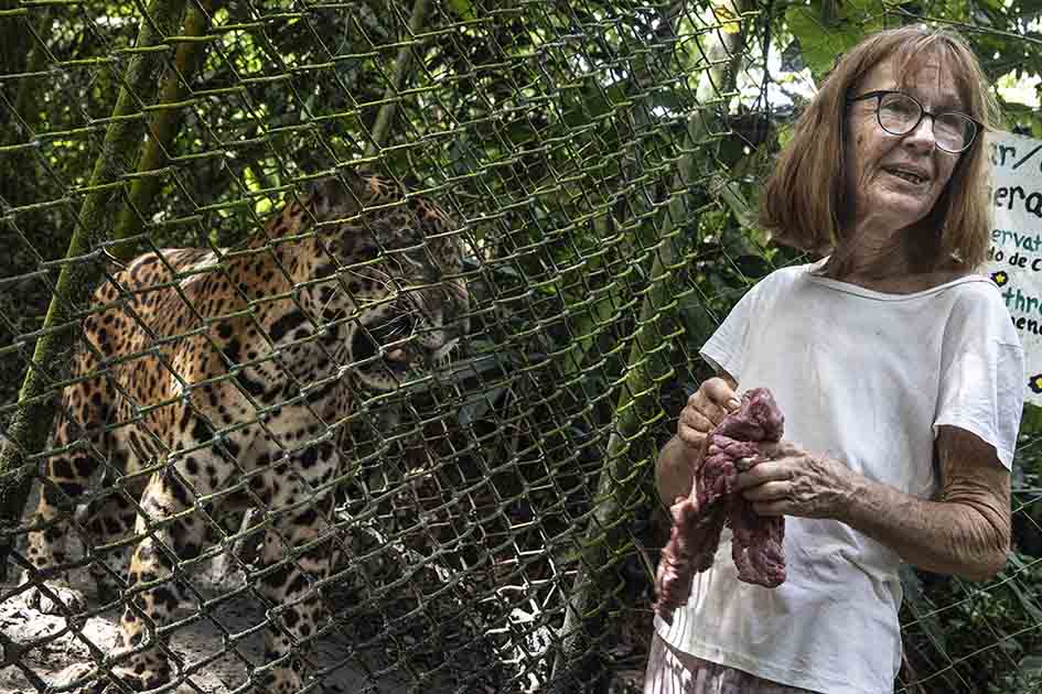 La austriaca Gudrun Sperrer es asistenta social de profesión, experta en mariposas y fundadora de Pilpintuwasi, donde se encarga de cuidar de Prince, además de otro casi centenar de animales rescatados. Foto: Max Cabello