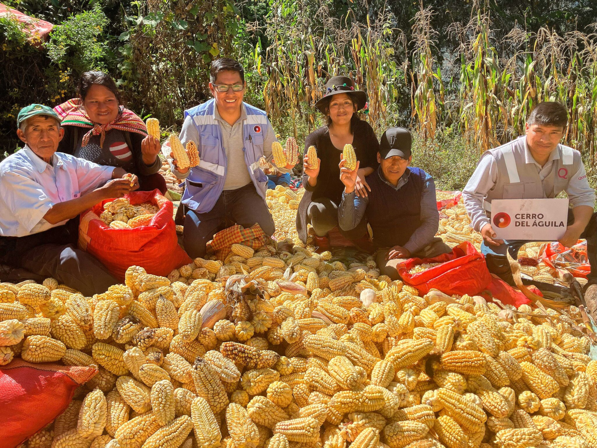 En 2025, agricultores de Andaymarca, Colcabamba y Surcubamba produjeron 1,021 kg de maíz por hectárea.