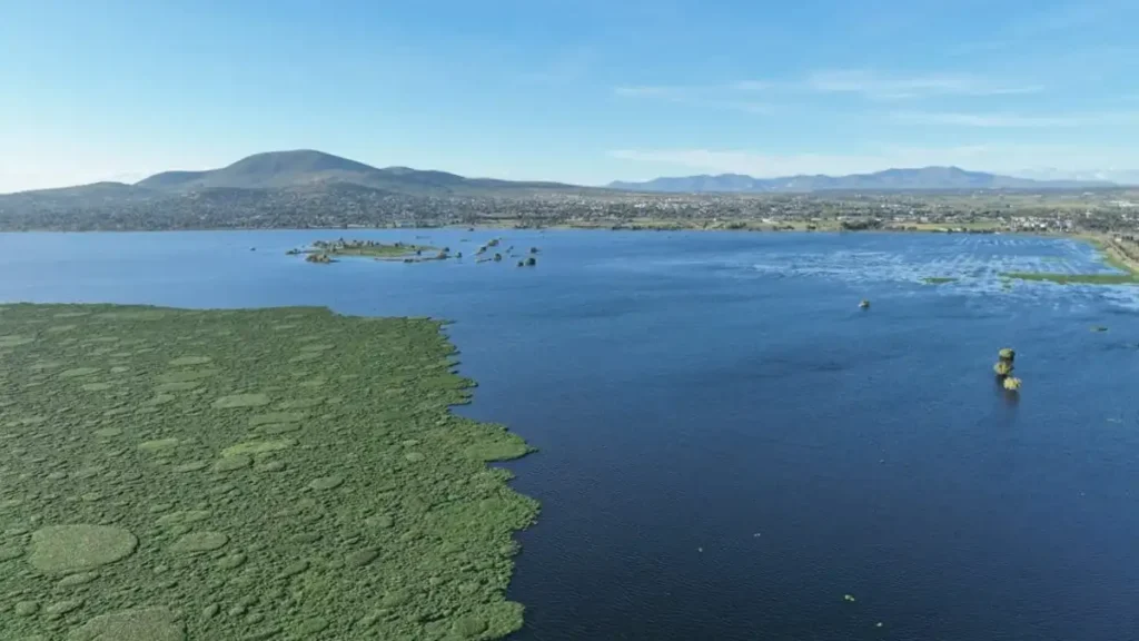La laguna de Zumpango es un refugio de aves migratorias - Foto cortesía Municipio de Zumpango