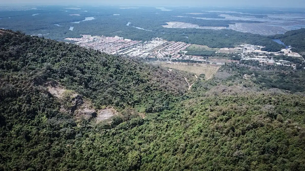 Vía a la Costa separa a la reserva Cerro Blanco de urbanizaciones que se toman el manglar y el bosque seco - Foto cortesía Keep in Science - Benjamín Navas