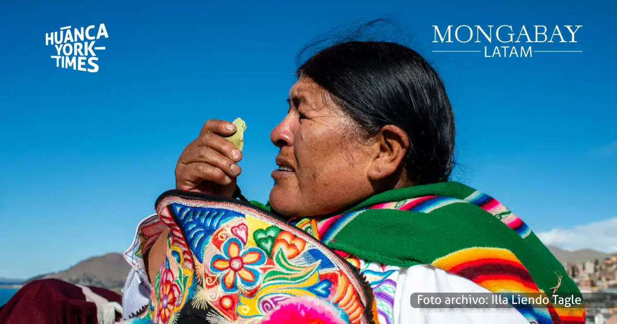 Rosa Copa ofrece un 'kintu' de hojas de coca a la madre de las aguas del Titicaca. (Foto archivo: Illa Liendo Tagle)