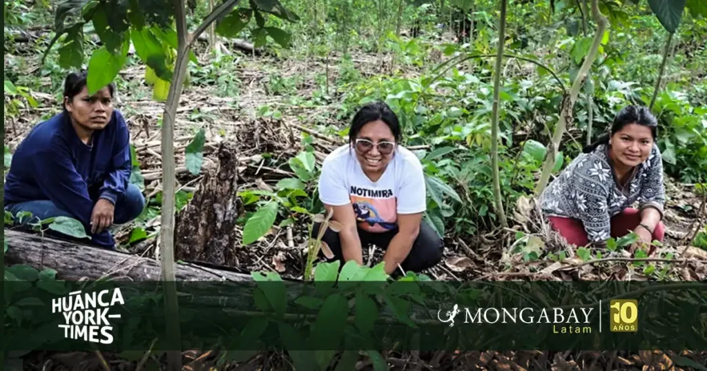cusco mujeres machiguenga - mongabay latam