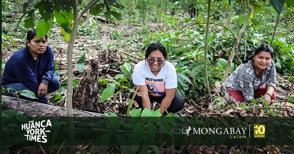 cusco mujeres machiguenga - mongabay latam