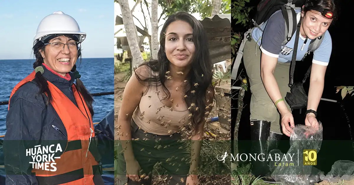 hytimes mujeres niñas ciencia