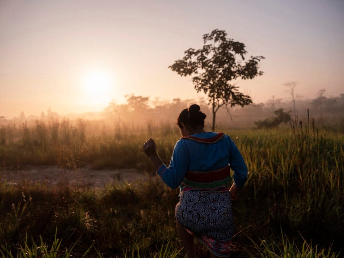 Los bosques en Perú cubren más del 60 % del territorio nacional, siendo el segundo país con mayor extensión de bosques amazónicos. Foto: cortesía Conservación Internacional Perú