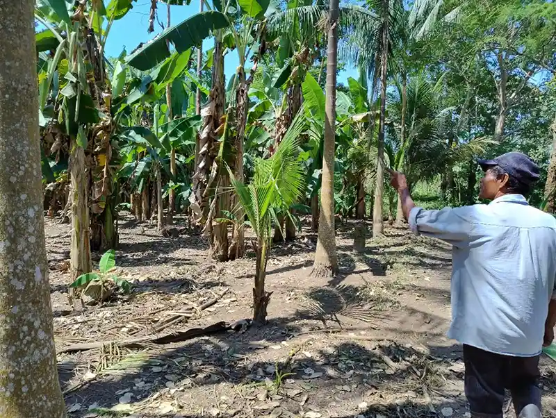 Chagraselva es una de las iniciativas agroforestales con las que subsisten pueblos originarios en la Amazonía colombiana. Foto: cortesía Abidjan Fernández Barrera