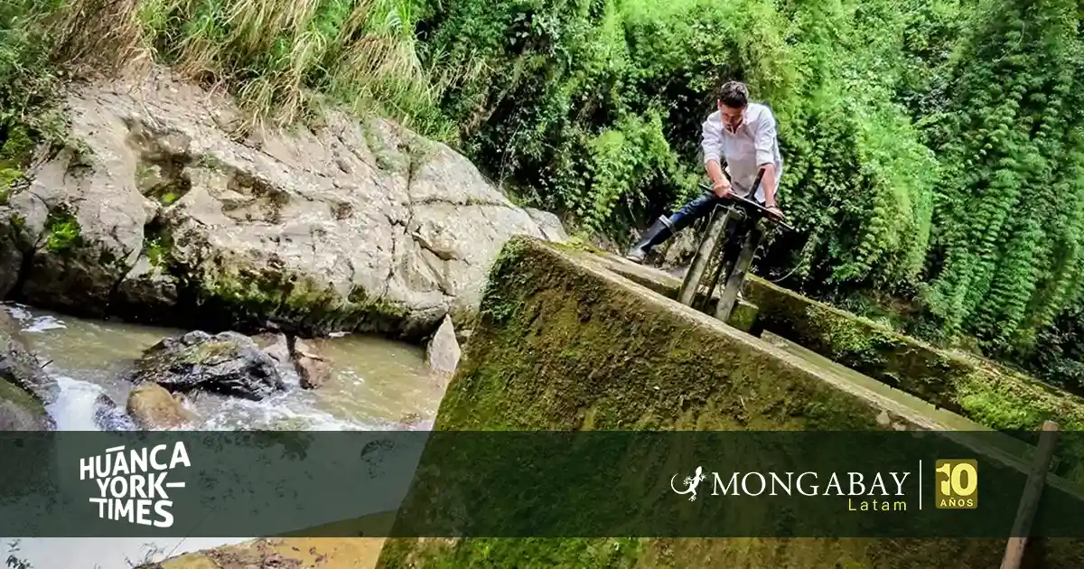 dia mundial de la tierra 2026 - hytimes