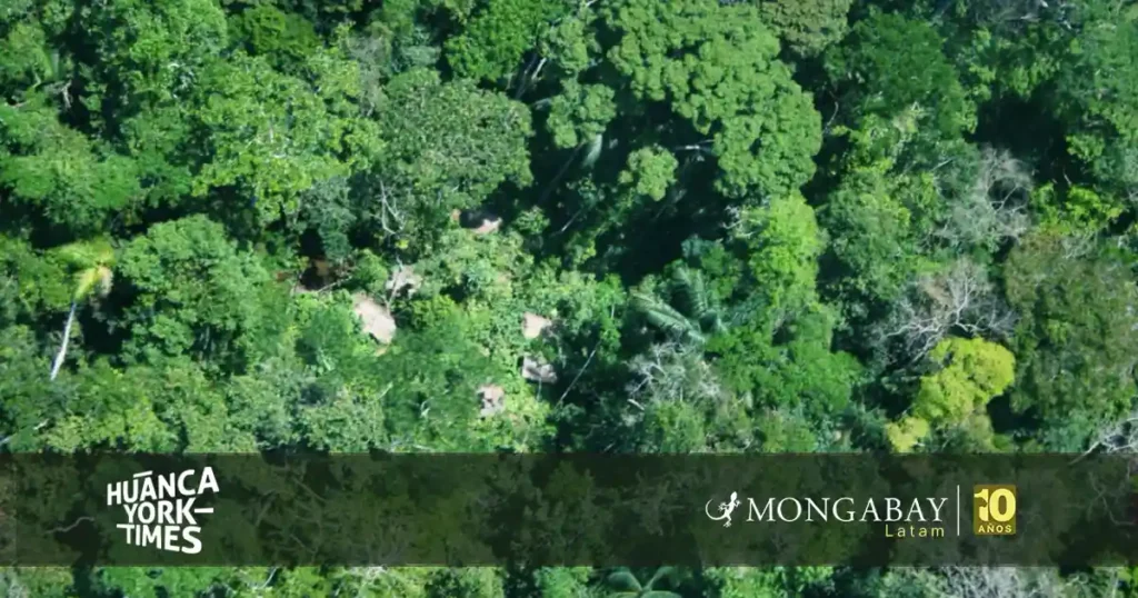 extractivismo invade el principal corredor habitado por pueblos indígenas en aislamiento - hytimes