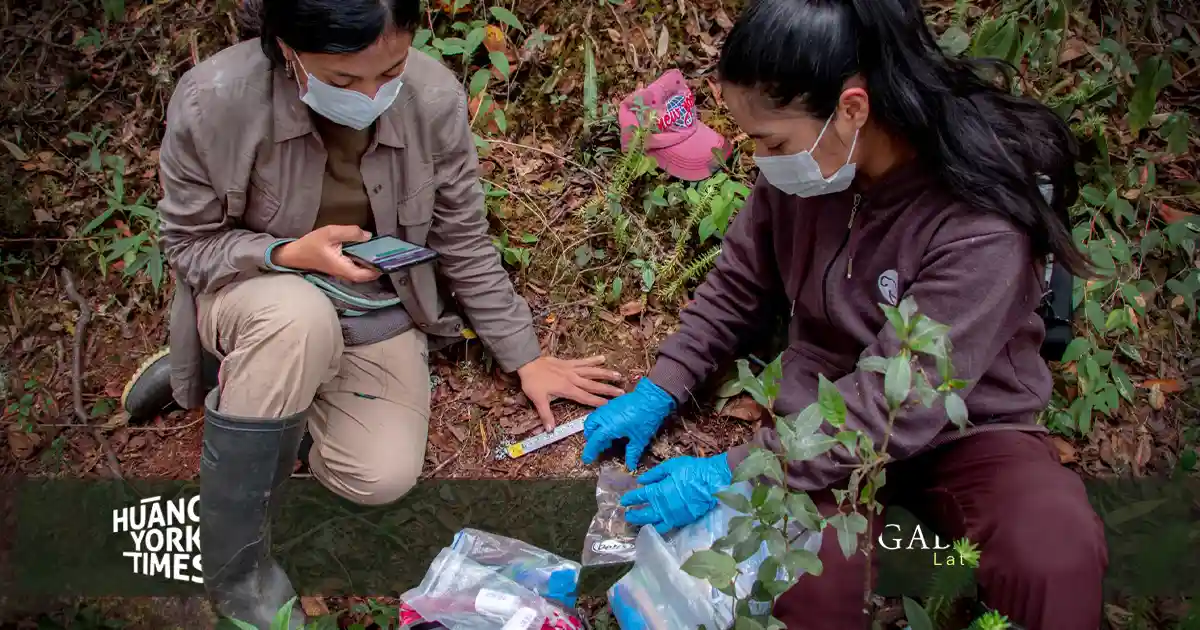 Día Mundial del Medioambiente - Perú concentra los corredores climáticos más importantes de la Amazonía occidental - hytimes