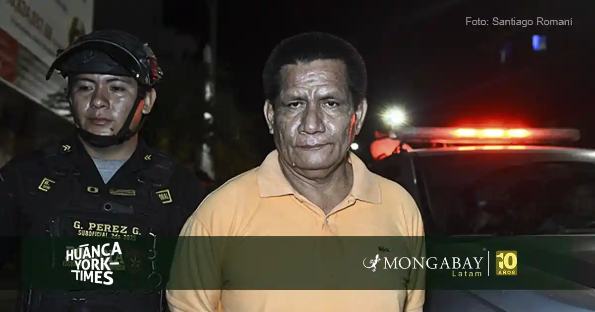 El empresario Hugo Soria Flores tras ser capturado por la Policía Nacional de Perú en Ucayali. Foto: cortesía Santiago Romaní