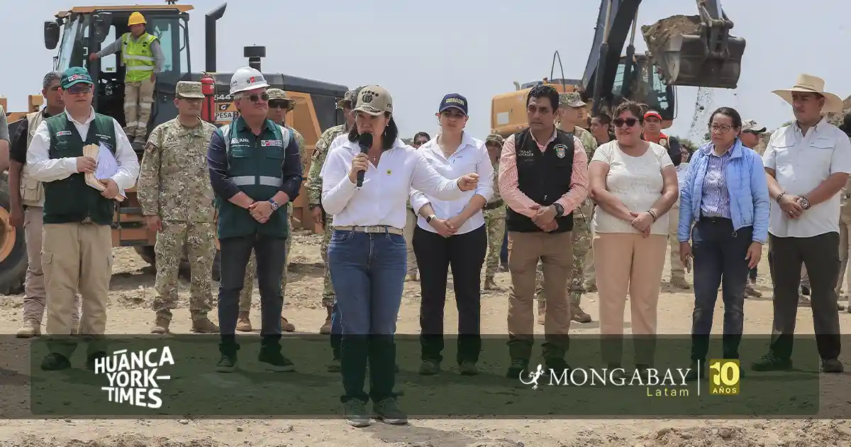 Pedido de facultades legislativas de presidenta Fujimori enciende alertas en sector ambiental de Perú - hytimes