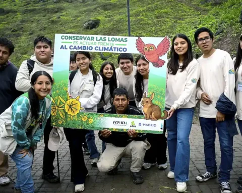 conservacion las lomas