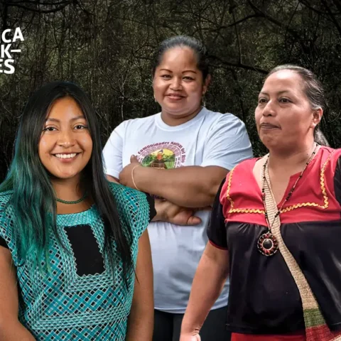 dia internacional de la mujer indígena - hytines peru mexico colombia