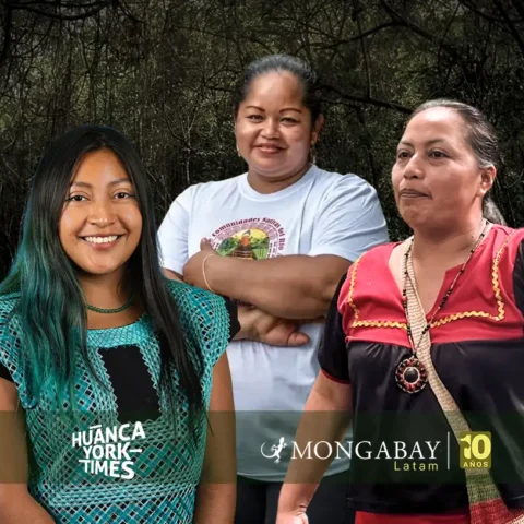 dia internacional de la mujer indígena - hytines peru mexico colombia - hytimes