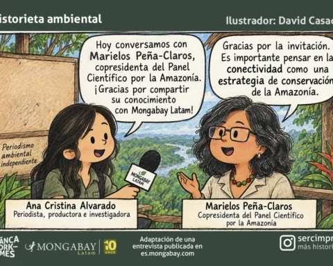 entrevista ted 1 - mongabay portada