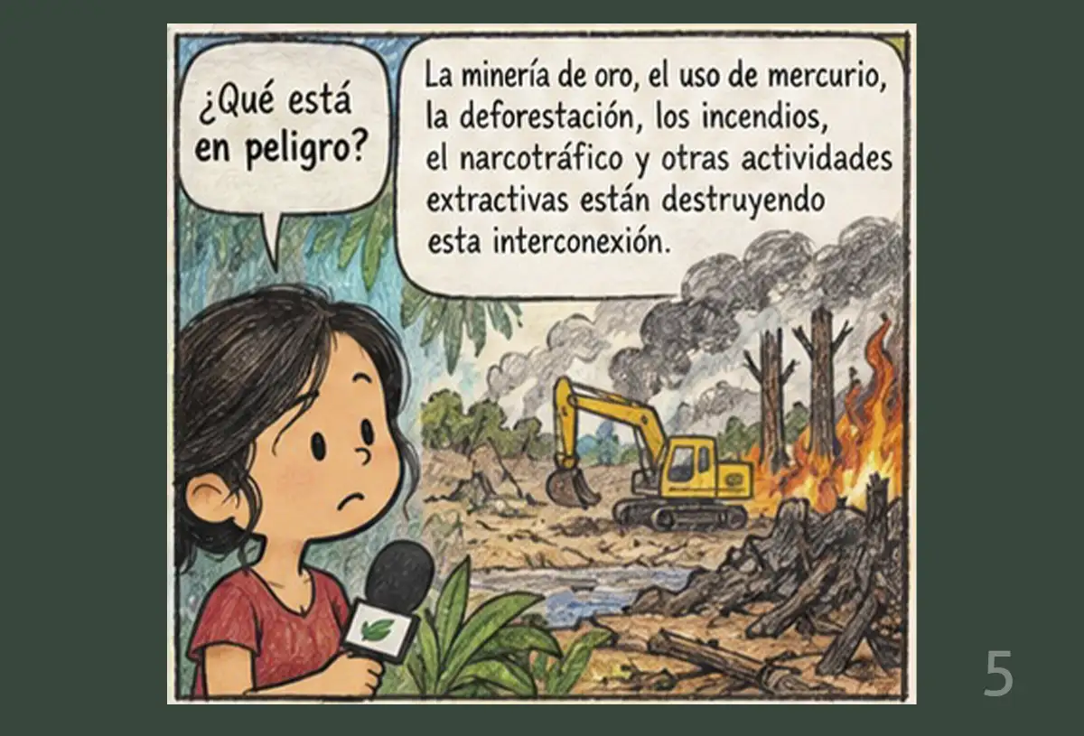 Marielos Peña-Claros, copresidenta del Panel Científico por la Amazonía,