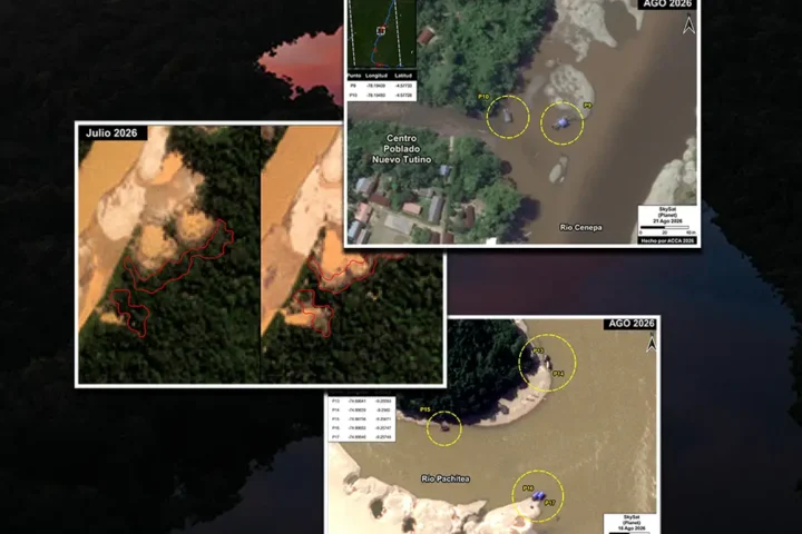 mineria deforestacion dragas tampopata huanuco pachitea amazonas - mongabay latam 2026