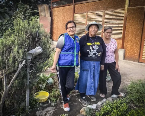 Mujeres reverdecen el desierto al convertir basurales y arenales en huertos comunitarios - lima - foto Gloria Alvires 2026