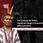 incendios forestales - bosques care - fiscalia ambiental - angel pedro valerio
