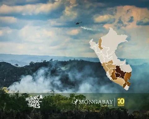 incendios forestales peru coen serfor