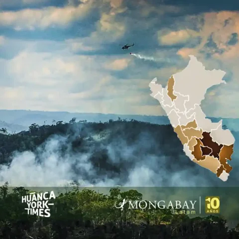 incendios forestales peru coen serfor